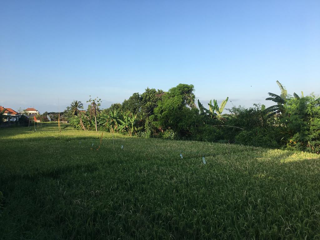 Gangga Guest House Canggu Zewnętrze zdjęcie